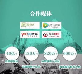 央美爆料实时新闻网,揭秘艺术界最新动态与热点事件